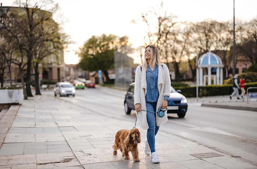 Urlaub mit Hund Stuttgart für 1 (2 Nächte)