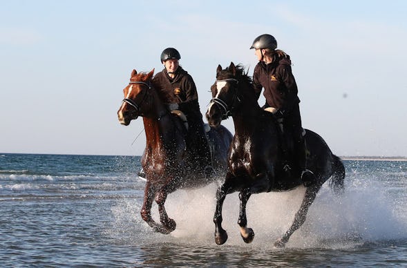 Wanderreiten mit Verpflegung