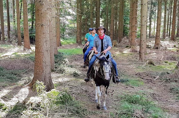 Wanderreiten mit Picknick Weiler bei Monzingen