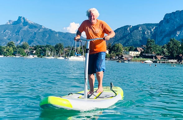 Wasserstepper am Neusiedler See