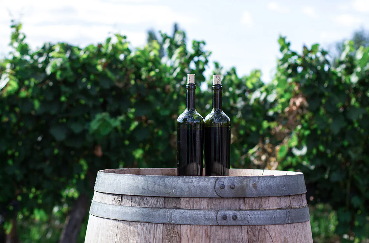 Wein Tasting Stuttgart Bad Cannstatt - 2