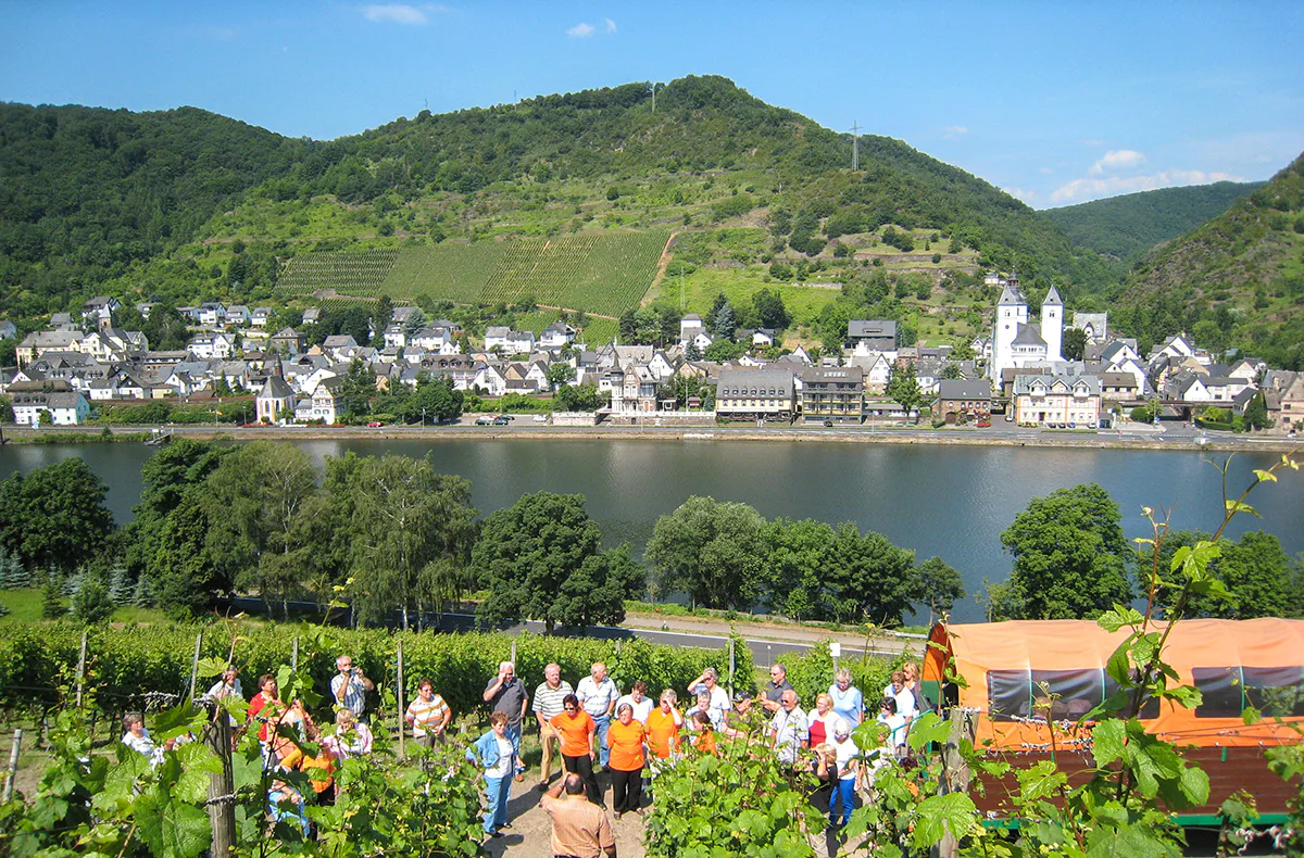Weinausflug & Schifffahrt auf der Mosel Bullay - 3