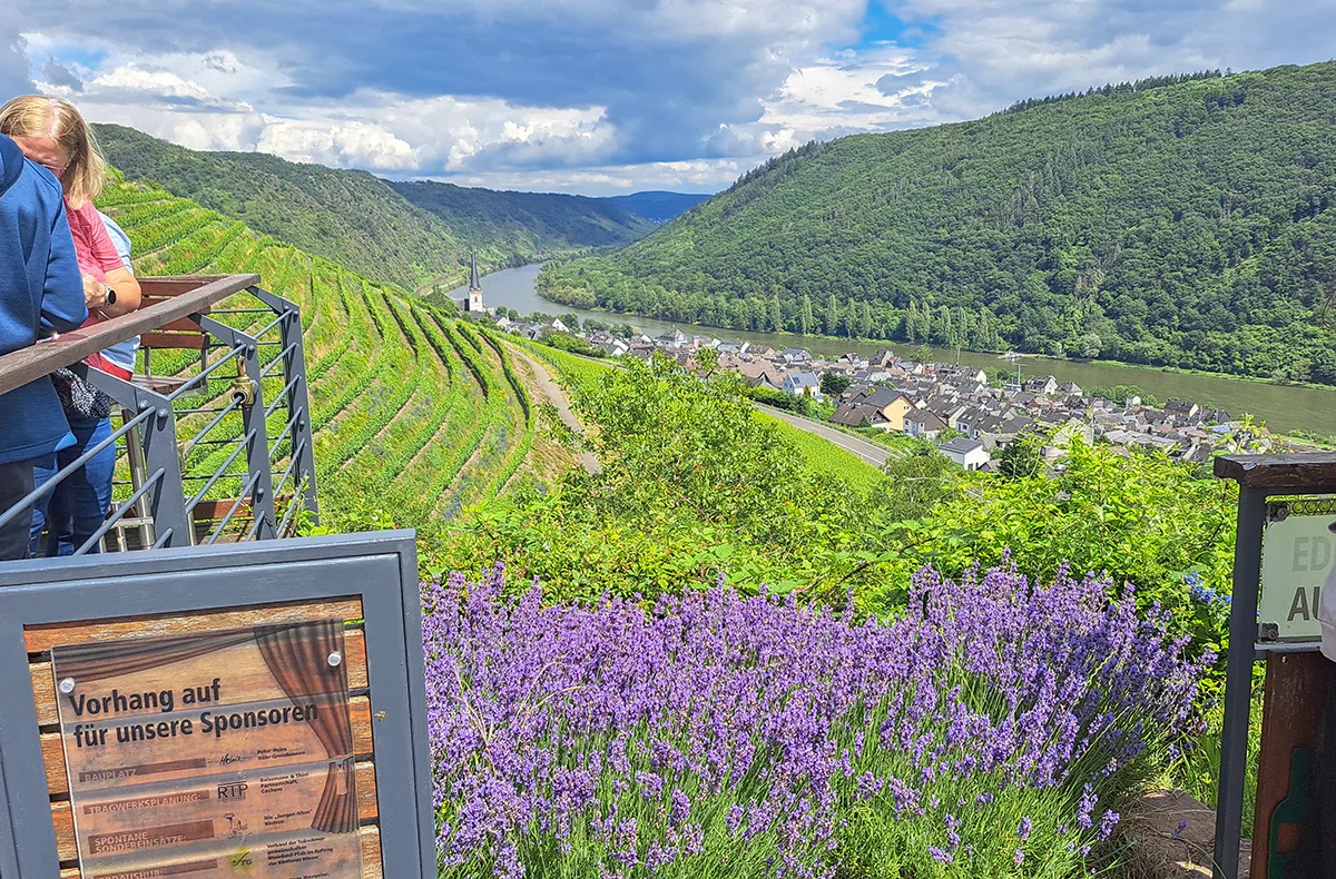 Weinausflug & Schifffahrt auf der Mosel Bullay - 5
