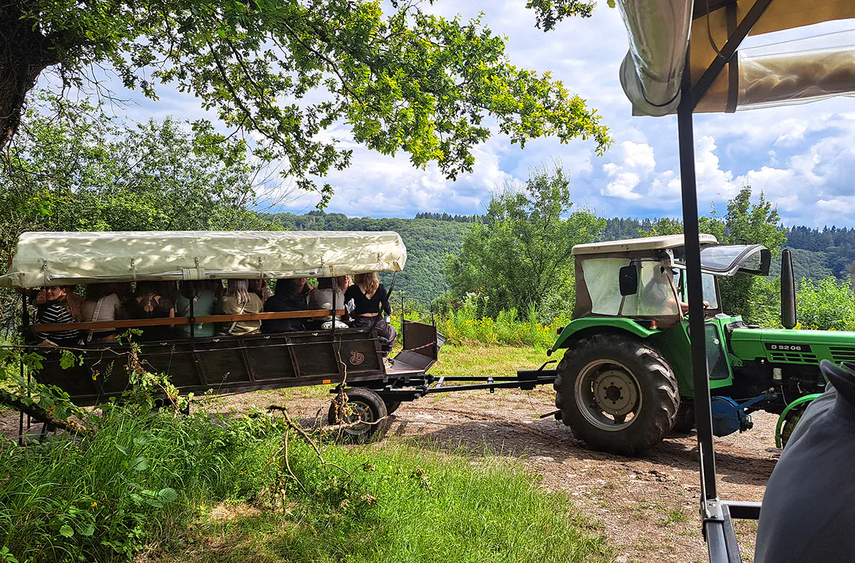 Weinausflug & Schifffahrt auf der Mosel Bullay - 6