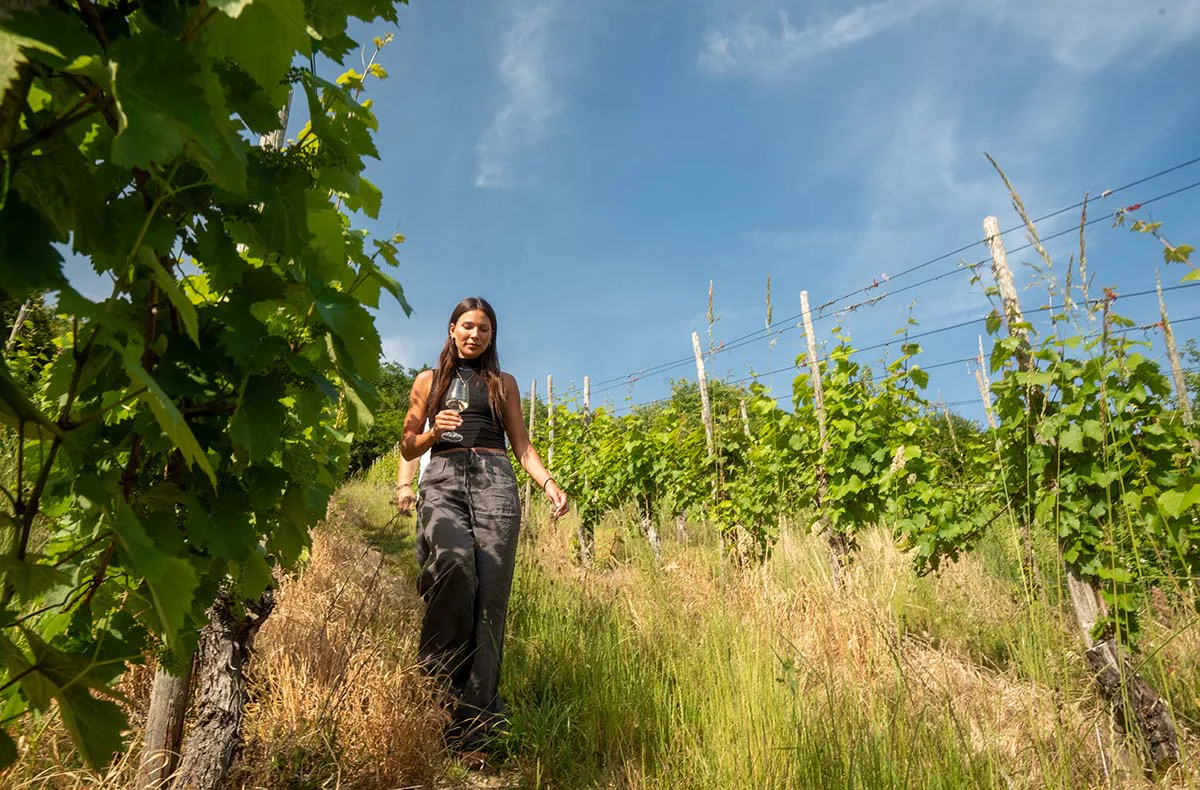 Weinbergwanderung mit Weinverkostung in Rheinland-Pfalz - 2