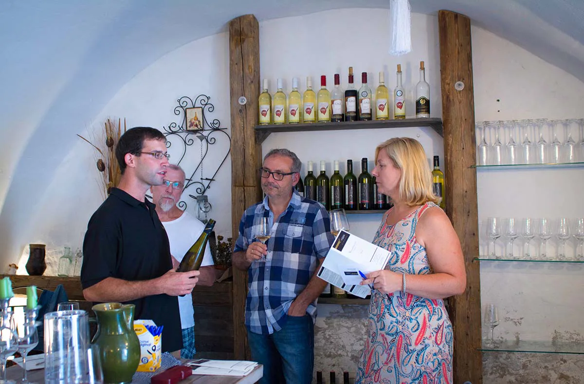 Weinseminar Einsteiger für 2 Willendorf - 4