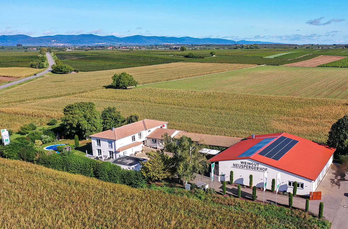 Ein Tag auf dem Weingut mit Übernachtung in der Pfalz für 2 - 1