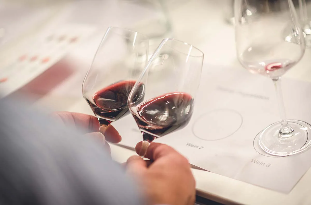 Weinseminar Einsteiger für 2 Frankfurt am Main - 4