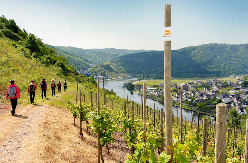 Weinwanderung Cochem
