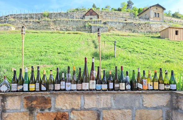 Weinwanderung Freyburg