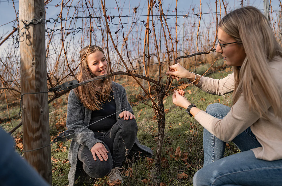 Weinwanderung Lieser an der Mosel - 3