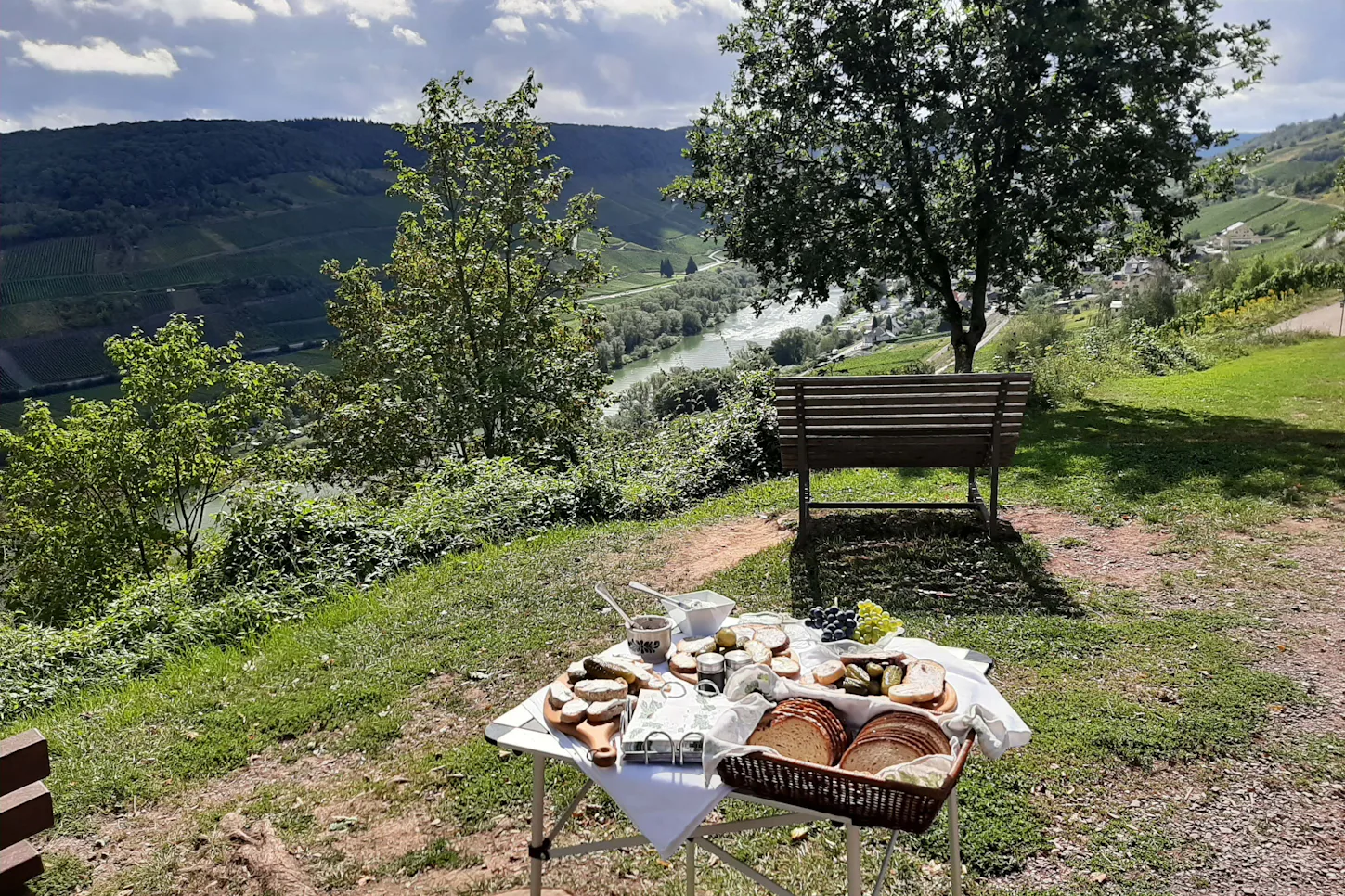Weinwanderung mit Verkostung Reil - 3