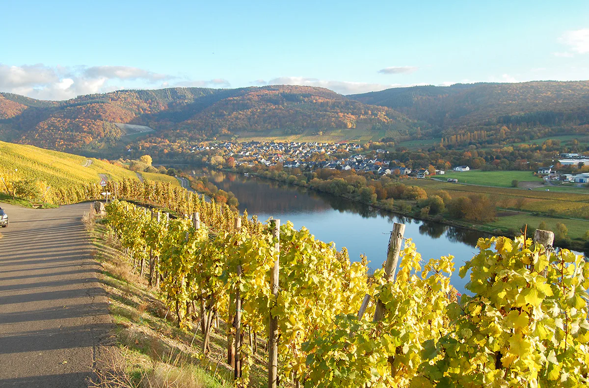 Weinwanderung und Schifffahrt auf der Mosel Bernkastel - 1