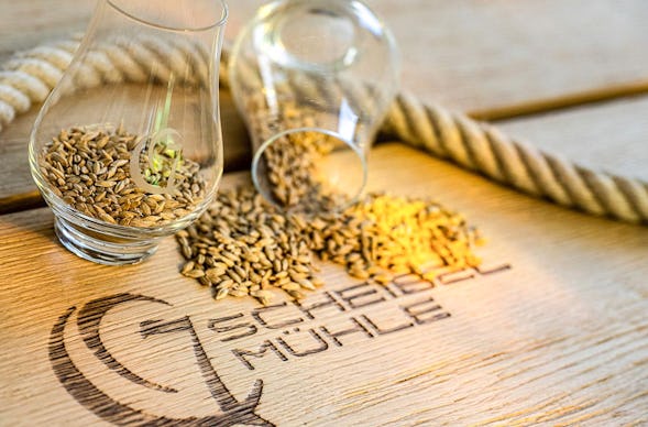 Whisky Tasting für Einsteiger Kappelrodeck