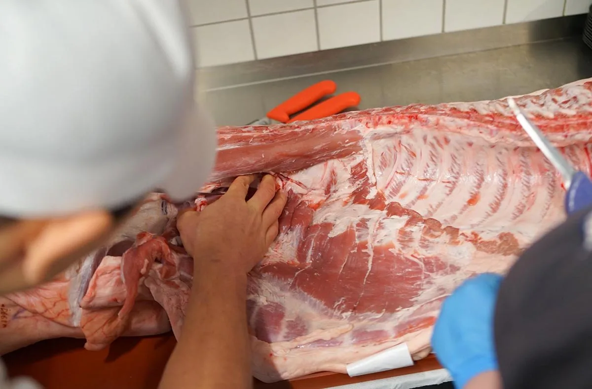 Fleisch Zerlegeworkshop Chemnitz (8 Std.) - 3