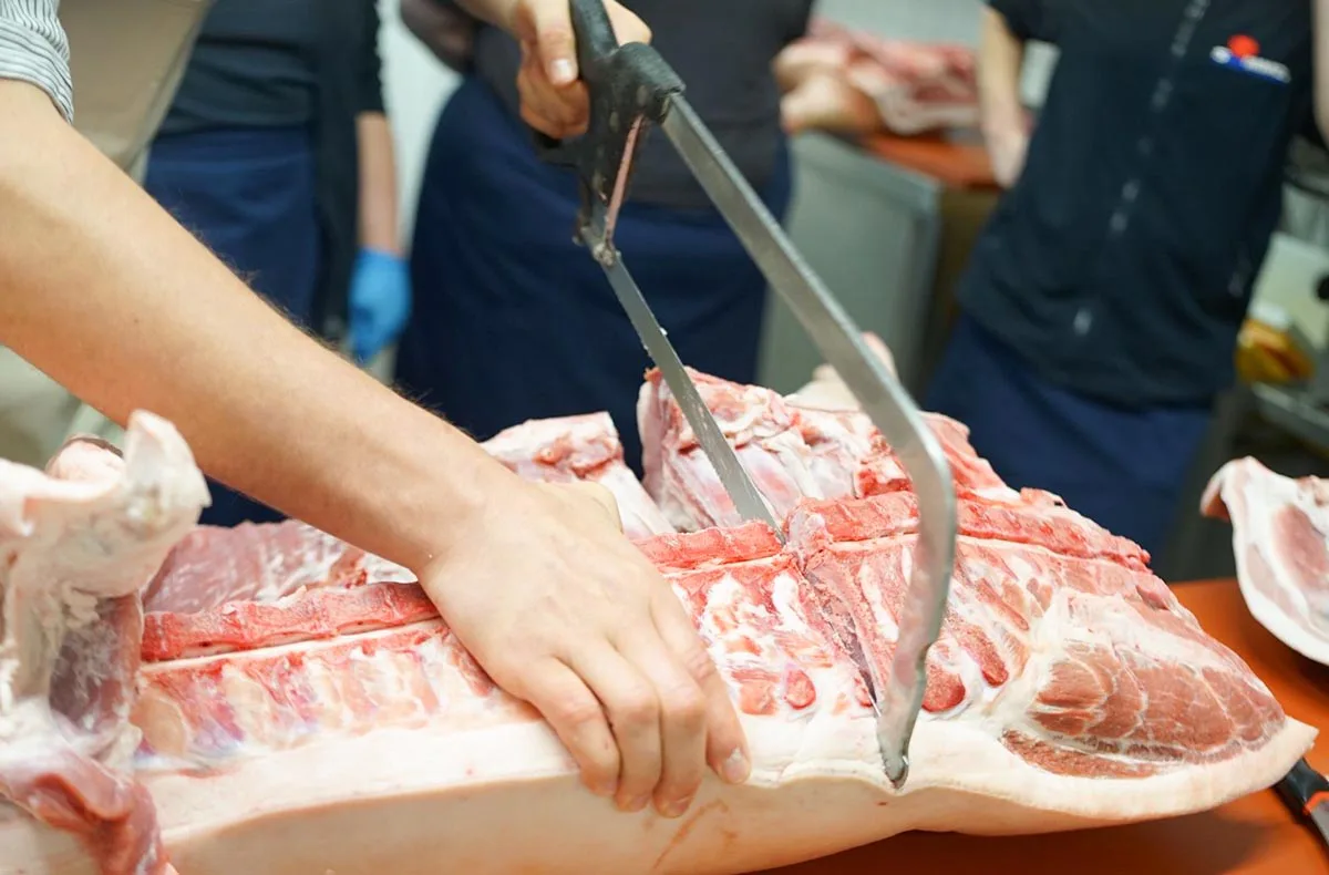 Fleisch Zerlegeworkshop Chemnitz (8 Std.) - 4