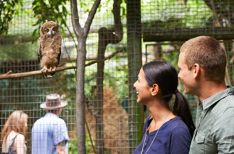 Kurztrip mit Zoobesuch Braunschweig für 2 (2 Nächte)