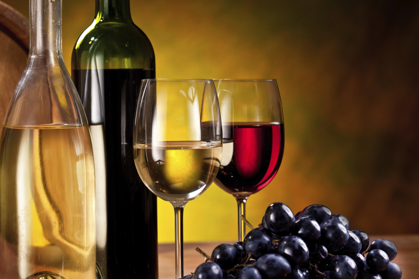 Weinseminar Kenner Wien