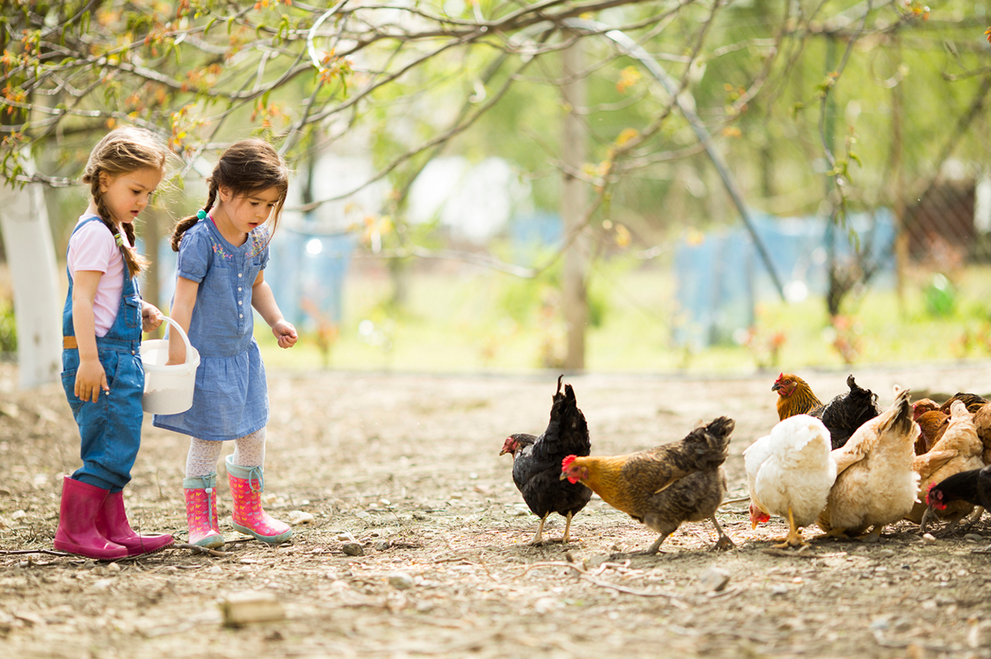 Kindertag am Bauernhof in Wiener Neustadt in Willendorf