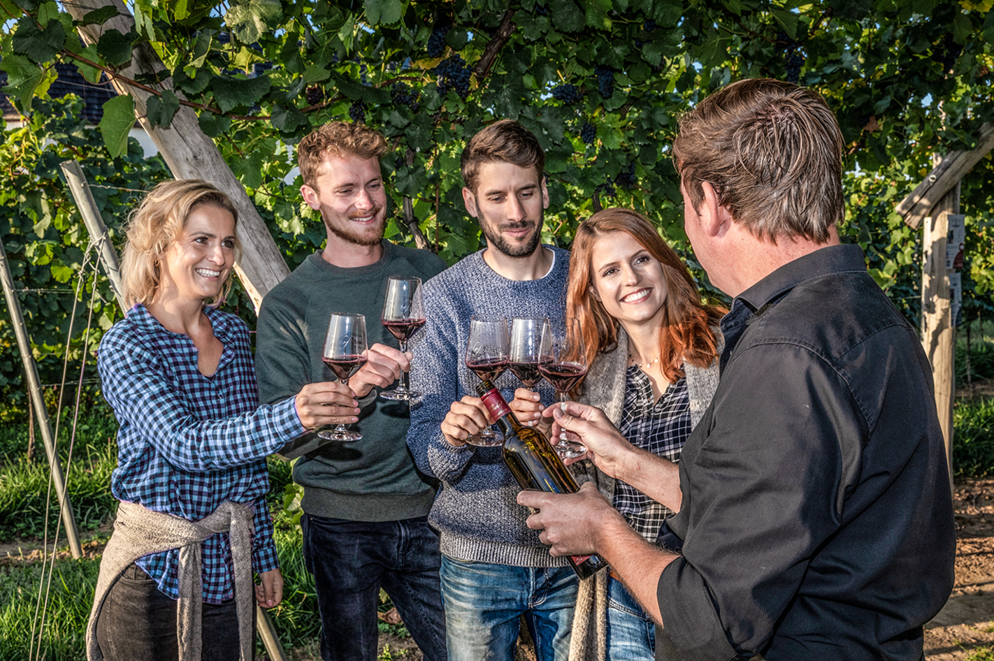 Weinbergwanderung und Weinprobe Raum Heidelberg für 2