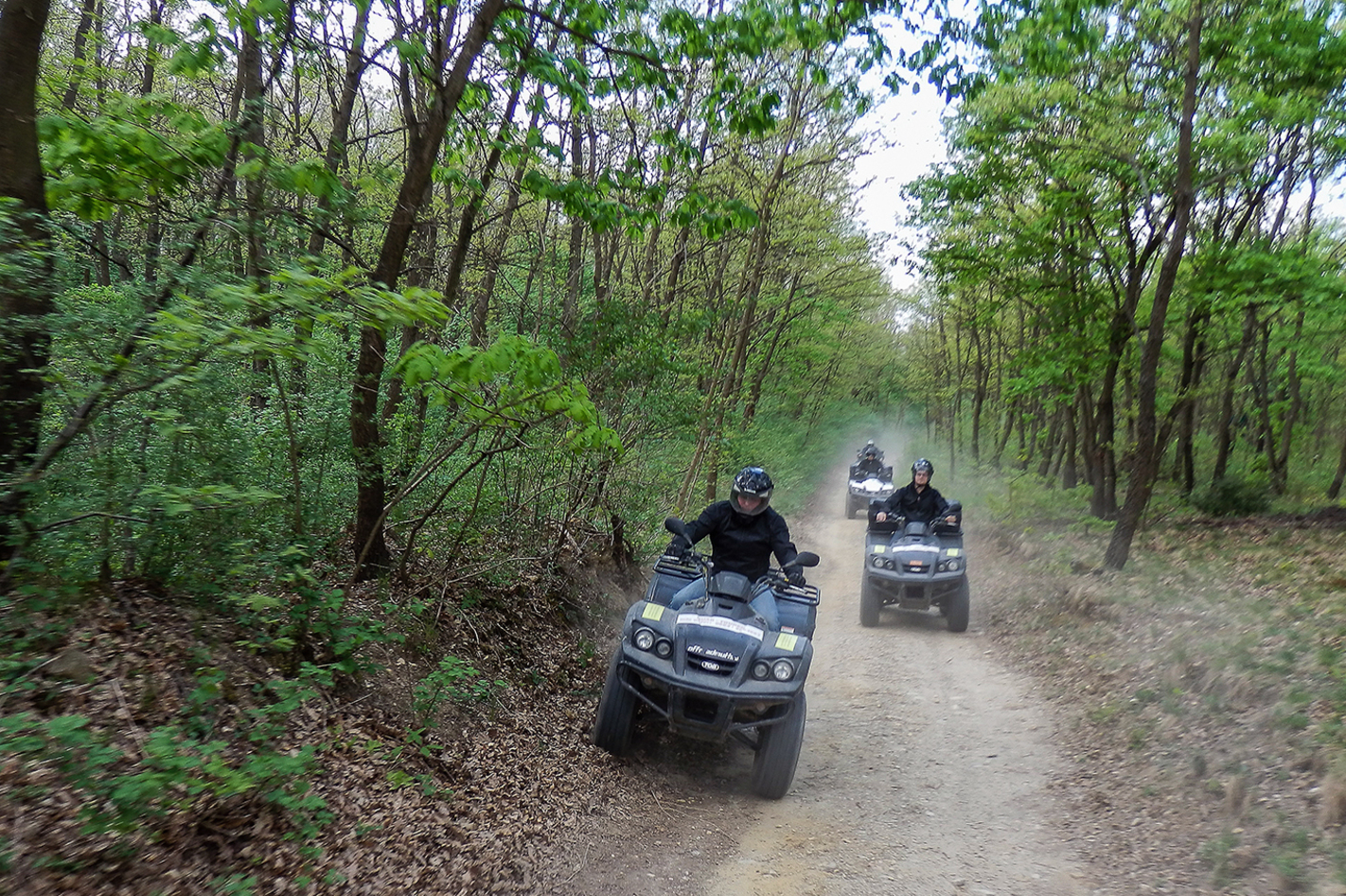 Quad Tour zum Neusiedlersee (2 Std.) in Siegendorf