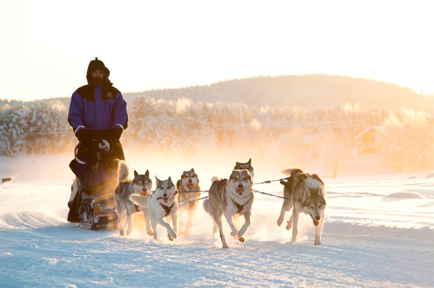 Lappland-Kurzurlaub mit Husky & Rentierschlittenfahrt für 2 - Auf der Jagd nach Nordlichtern!