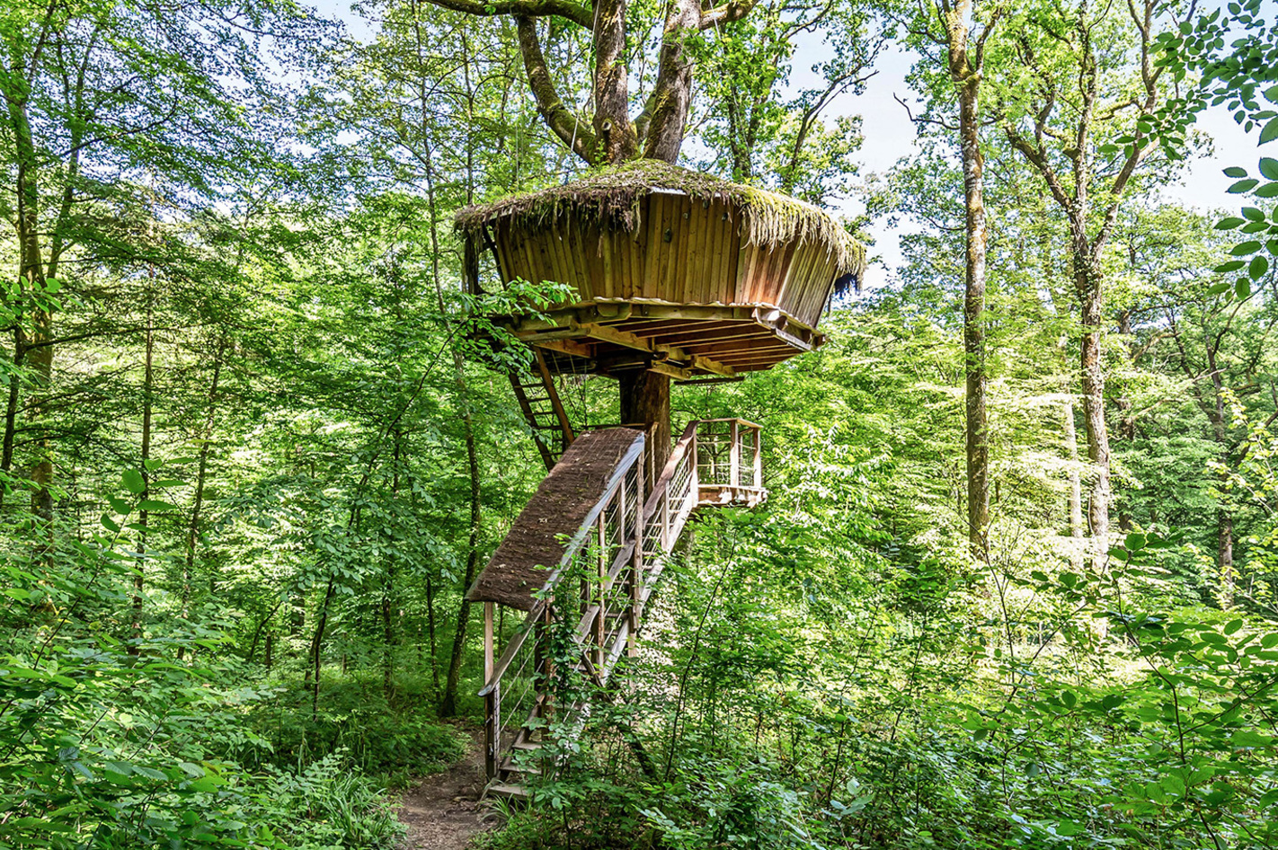 Übernachtung im Feen-Baumhaus in der Champagne für 2 in Guyonvelle