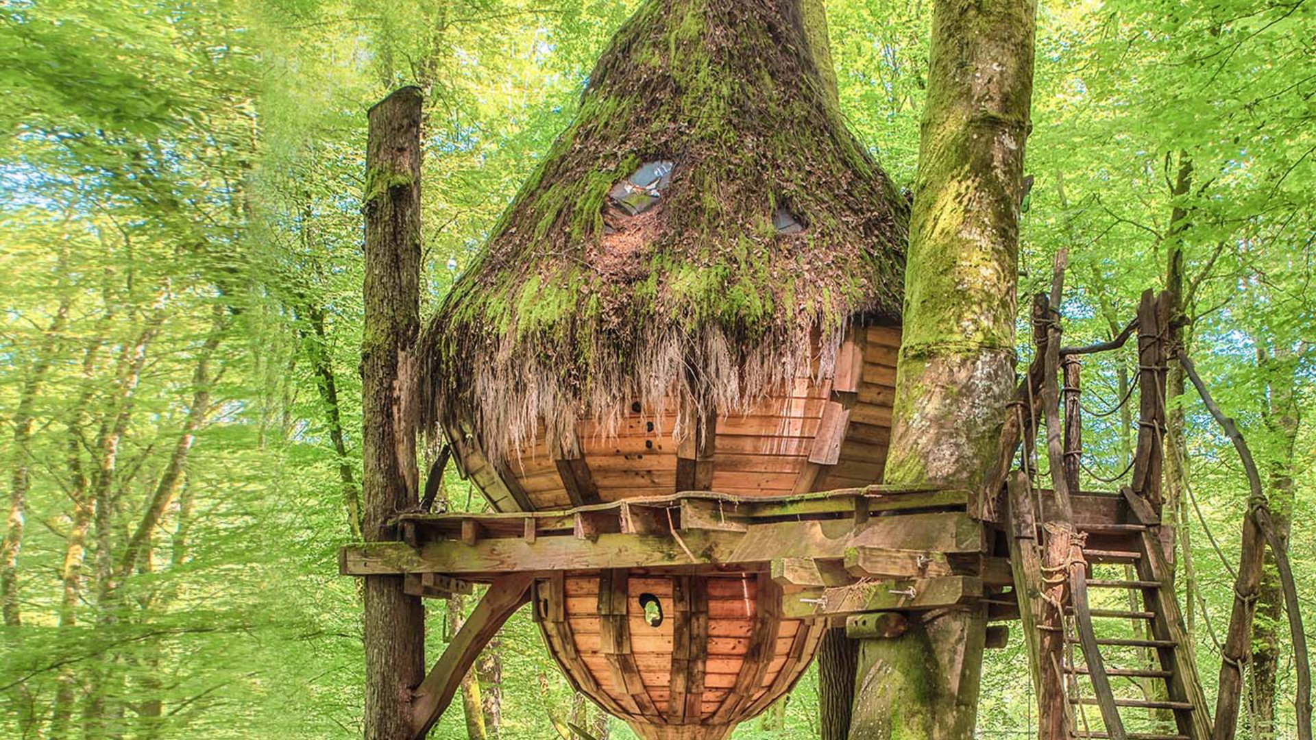 Baumhaus-Kurzurlaub in der Champagne für 2 in Guyonvelle