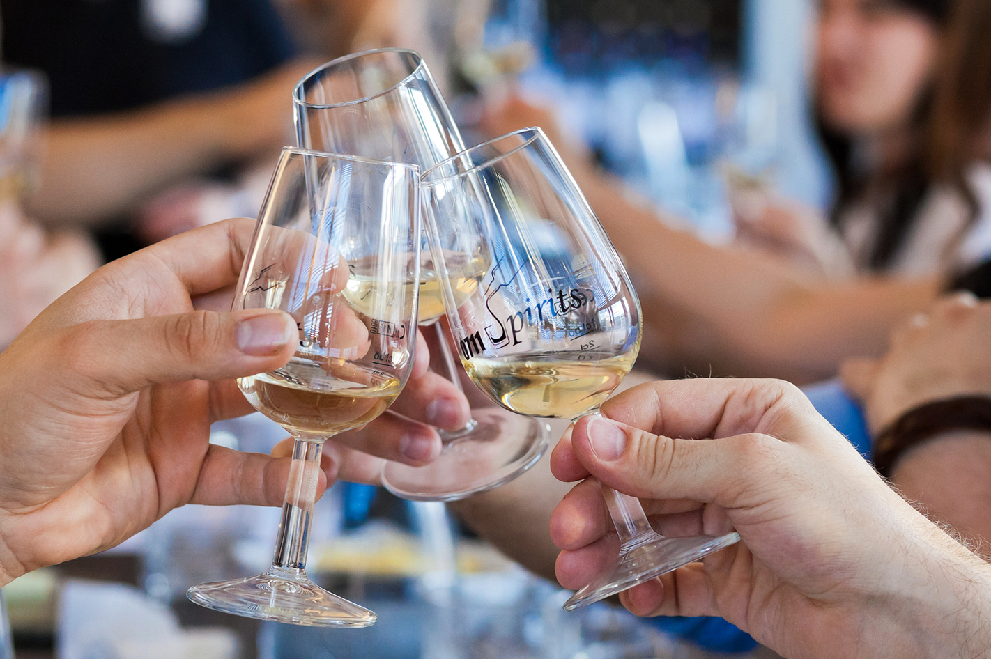 Whisky Tasting Stuttgart (8 High End Sorten)  in Ca. 3 Stunden