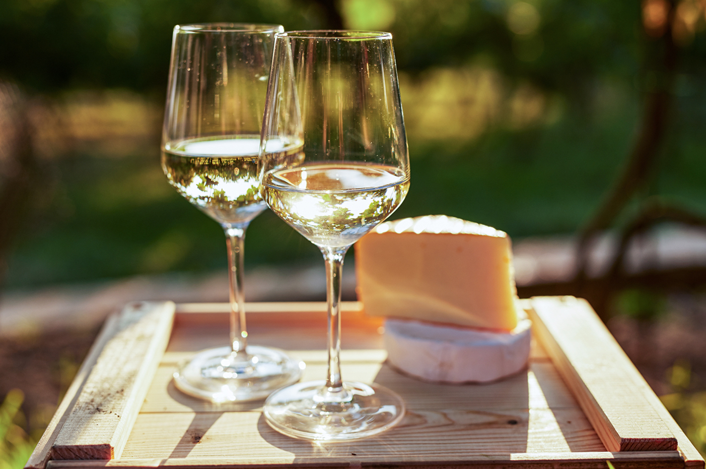 Wein und Käse Seminar Schriesheim