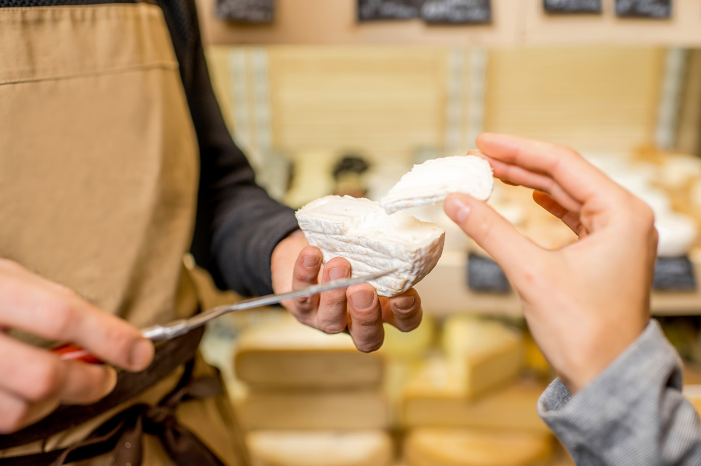 Käse Selber Machen in Kuchl  in Ca. 3 Stunden