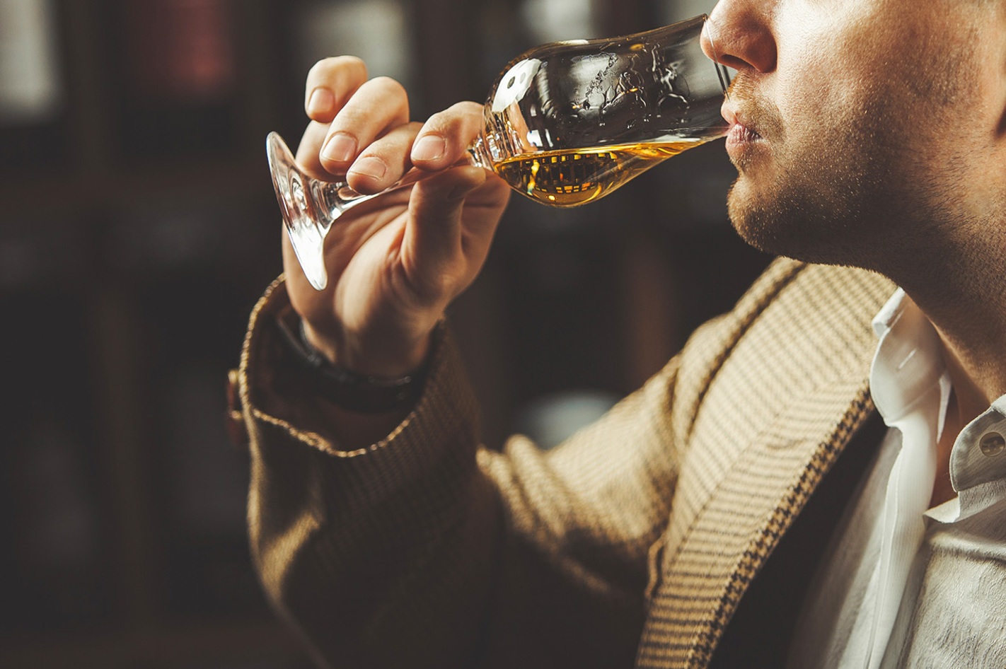 Whisky Tasting Bad Berneck mit 3-Gang-Menü  in Ca. 3,5 Stunden
