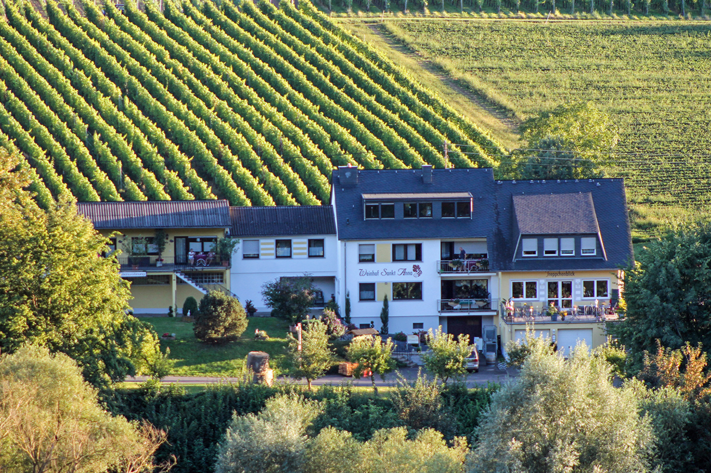 3 Tag(e) Weinreise Bernkastel-Kues für 2 (2 Nächte) inkl. Frühstück