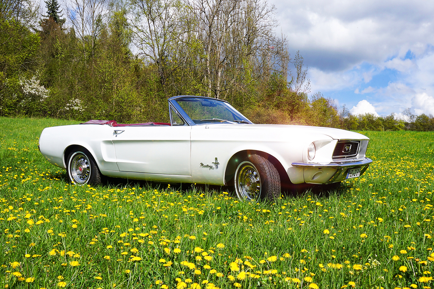 Ford Mustang Oldtimer Tagestour in Jena