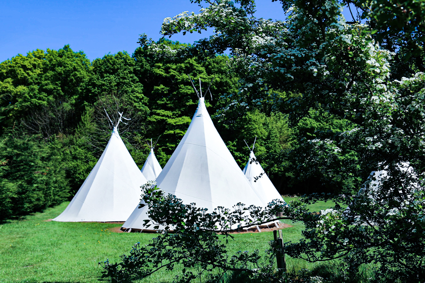 Außergewöhnlich Übernachten im Tipi La Chapelle-aux-Bois für 2 (1 Nacht)