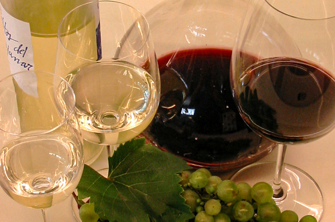 Weintasting Schwetzingen
