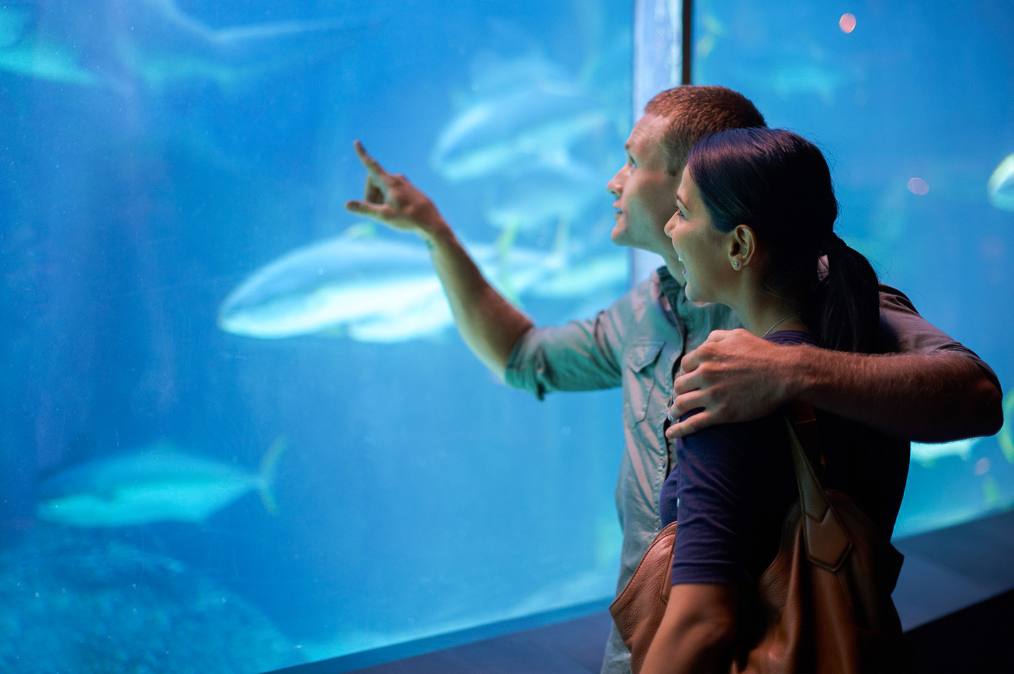 Frühstück Sea Life München für 2