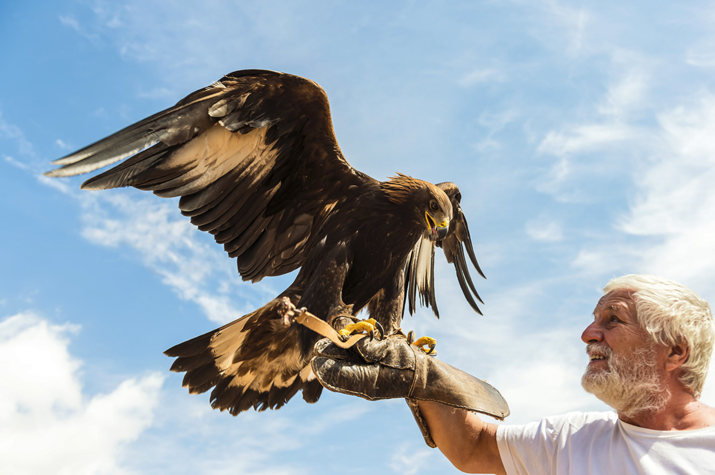 Falkner für einen Tag Riedenburg