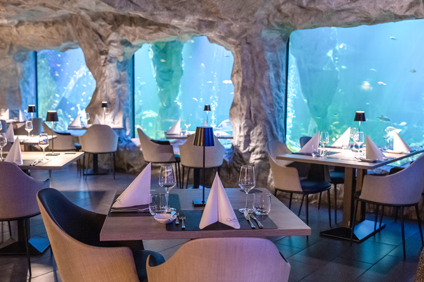 Gourmet-Menü im Unterwasser-Restaurant in Neuwied für 2