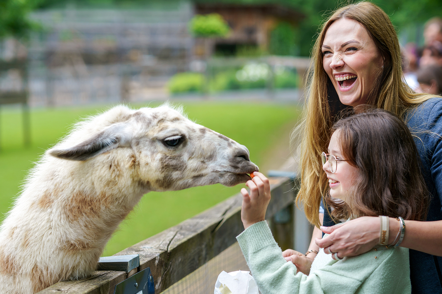 Tiere und Natur