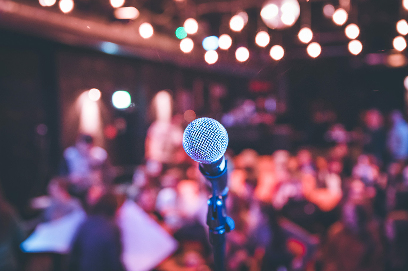 Musical Dinner Quedlinburg in 5,5 Stunden (reine Erlebnisdauer 4,5 Stunden)