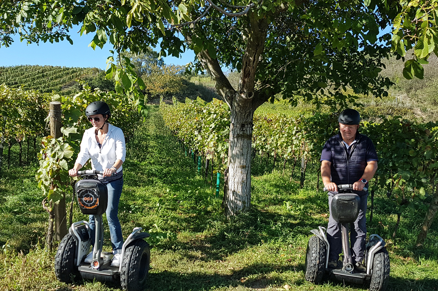 Segway Tour durch die Weingärten von Jois –  in Plane rund 1,5 Stunden ein.