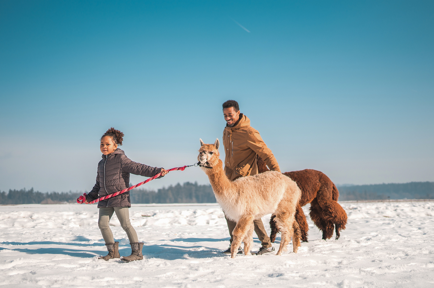 Alpaka Wanderung mit Glühwein für 2 in Übersee