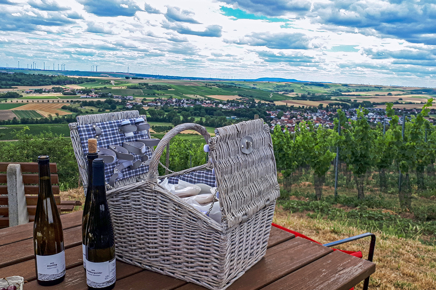 Weinbergwanderung Essenheim