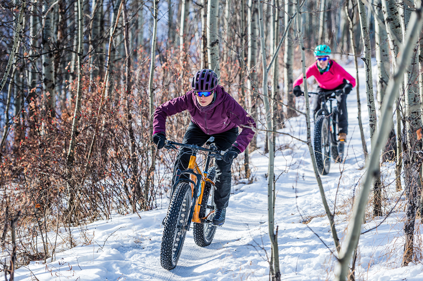 Fatbike Tour in Clausthal-Zellerfeld (3 Std.)