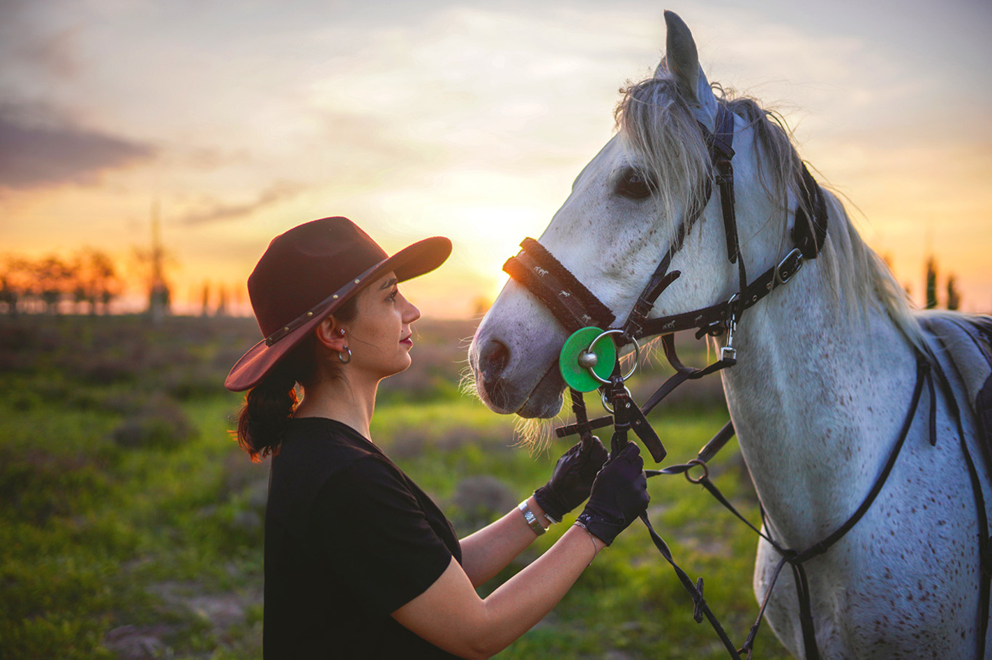 Schnupper Reitkurs Poppenricht