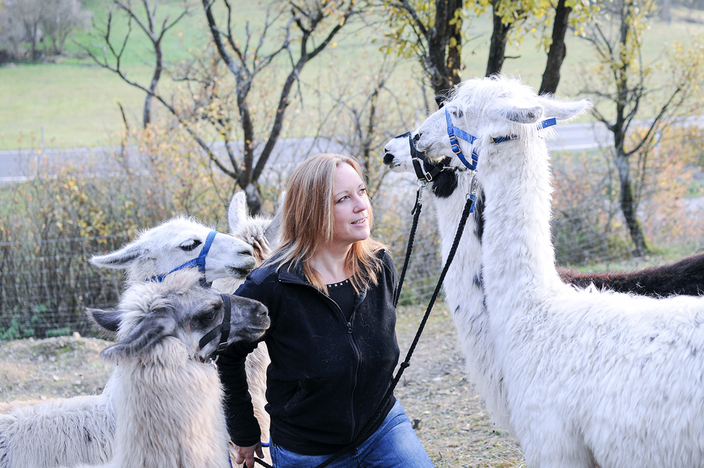 Lama Wanderung Retzstadt für 2