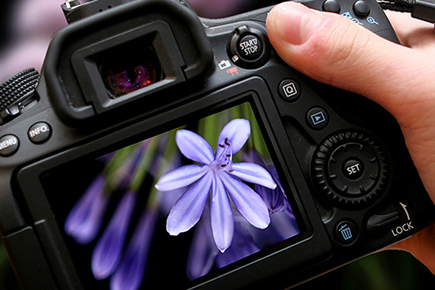 Fotokurs Köln