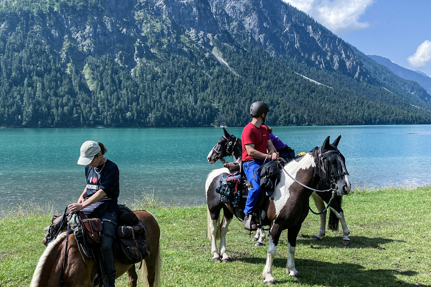 Wanderreiten Aschbach (1 Nacht)