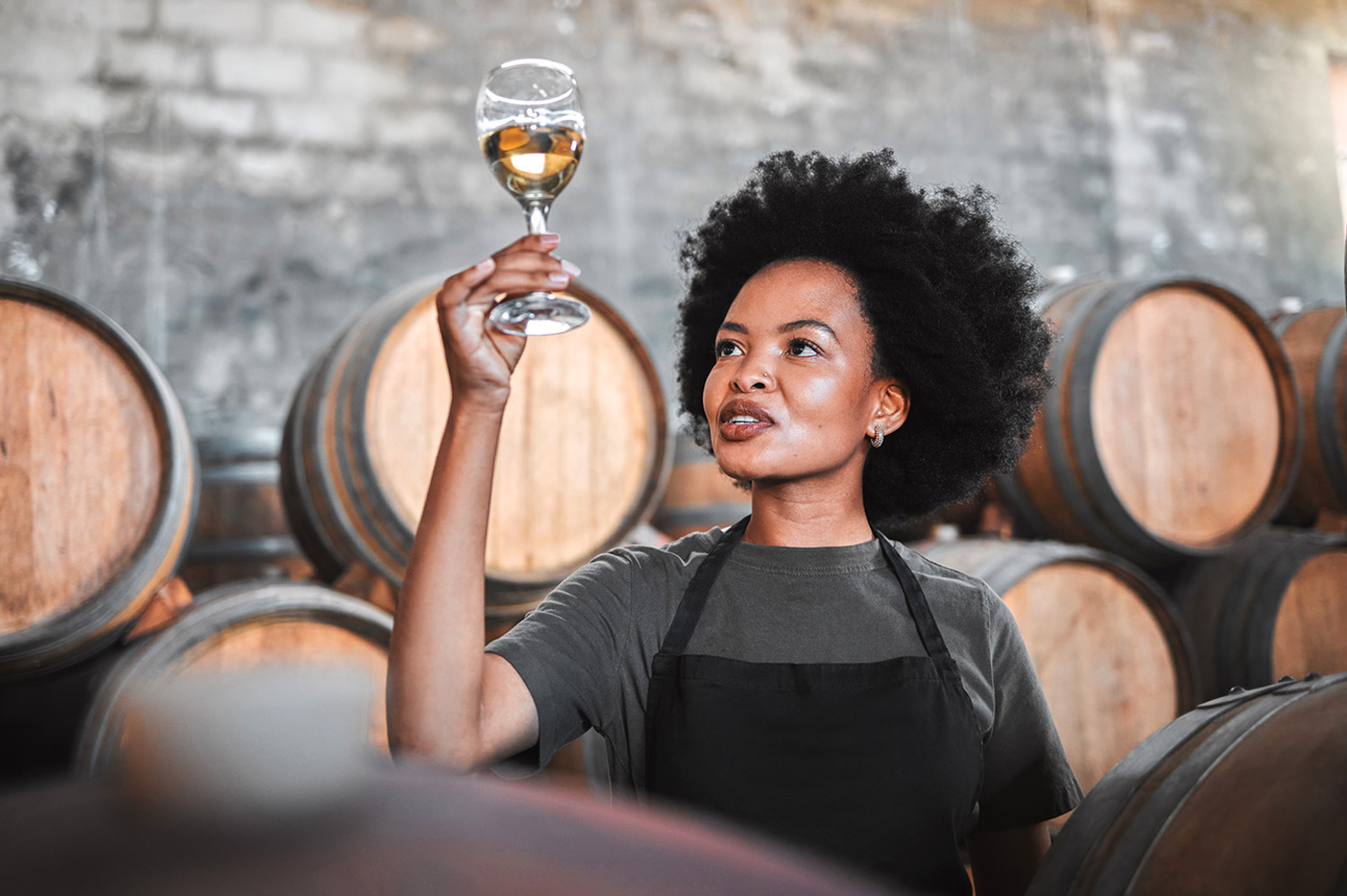 Wein und Käse Tasting Sasbachwalden  in Ca. 2,5 Stunden